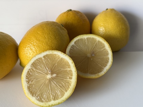 〔秀・優〕完熟イエロー果汁たっぷり！『ATAMI de LEMON®』5Kg- 爽やか芳醇- 品種お任せ