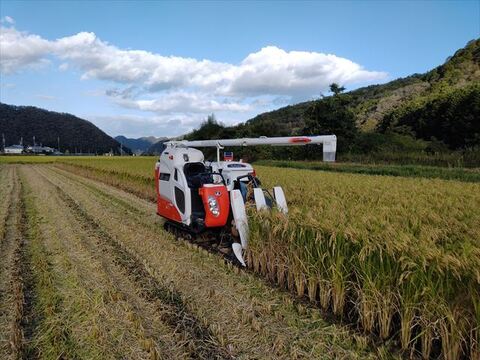 有機JAS認証【農薬不使用「ぴかまる」玄米20kg】美味しくもちもち柔らか 2024年兵庫県産「タガメの里・自然米」