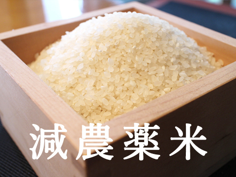 【冷めてもおいしい！】千葉コシヒカリ玄米10ｋｇ