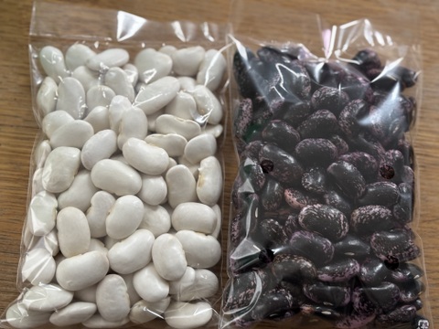 北海道産　白花豆250g&紫花豆250g