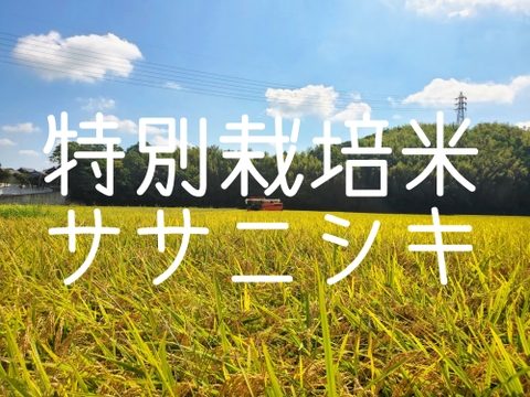 令和6年産 特別栽培米 ササニシキ「うみ幸やま幸」10kg 精米(玄米、5ぶつき、7ぶつき) みえの安心食材認定