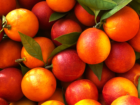 ブラッドオレンジ モロ 2kg : 赤色の果汁が特徴のオレンジ