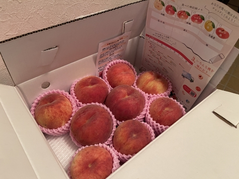 早期予約価格　🍑レア品種 さくら白桃　3kg 8～14玉　家庭用　採れたて農家直送