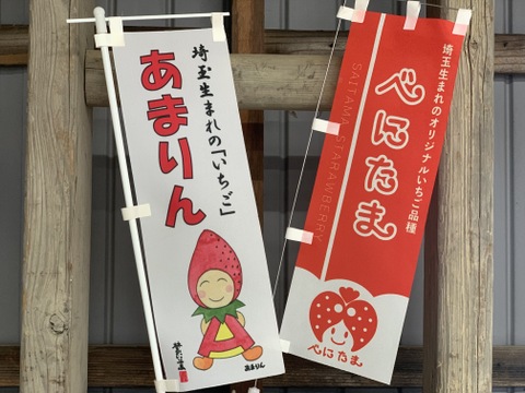 【あまりん・べにたま】食べ比べ２パック(500g)🍓