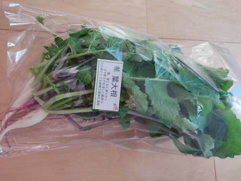 ✨世界に一つだけのプレミアム野菜便（農薬・化成肥料不使用）✨あなたの「欲しい」が詰まった一箱。わがままを叶えるオーダーメイド野菜便🥬