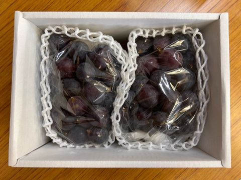 🍇訳あり・粒ピオーネ🍇  約1.5kg【岡山県産】種なしぶどう【ニューピオーネ】