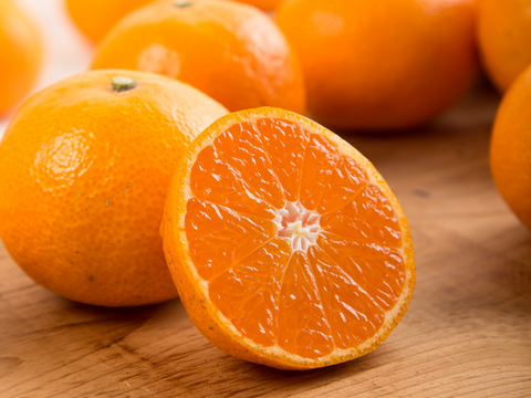 あふれる果汁！濃厚な甘味とほどよい酸味がたまらない！早生みかん（5kg）