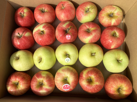 丸かじり用【小玉りんご】食べ比べ3種詰合せ2.5kg🍎🍏低農薬で皮ごと安心！【りんご食べ比べ】