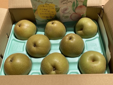 梨の季節が始まりますよ！！【香麗ｺｳﾚｲ】3kg