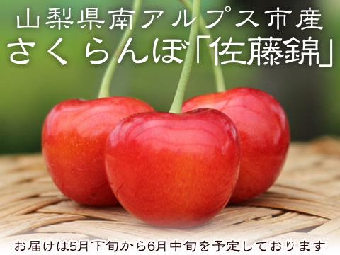 【朝採り直送】さくらんぼ「佐藤錦」500g【山梨県南アルプス市産】