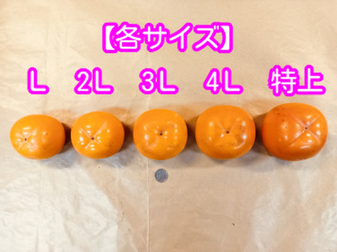 会津みしらず柿（種なし）　約4kg　4Lサイズ14玉