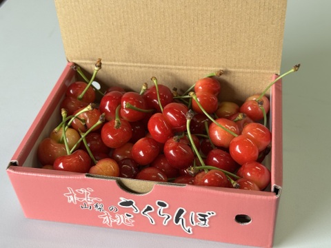 【数量限定お試し価格】さくらんぼご家庭用(訳あり品)300g