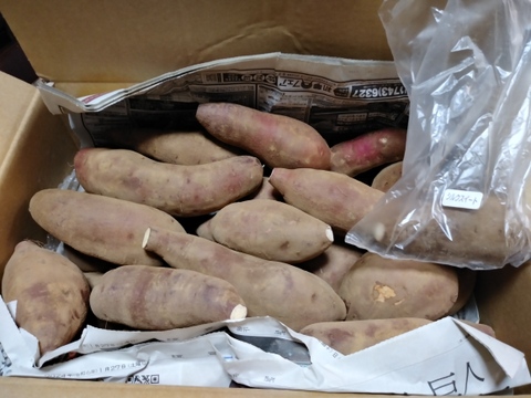 糖度60度越えねっとり系代表❣️千葉県香取市産　S・Mさつまいも極甘！ 【紅はるか】4.8kg