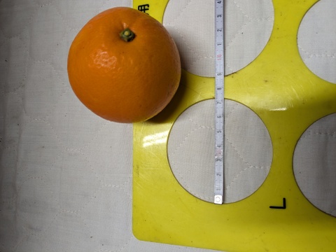 ぽんかんとネーブル食べ比べセット４kg　甘みと芳醇な香りが美味しい😋朝摘みぽんかん1.5kg＋酸味と甘みが調和した独特の旨みネーブル2.5kg【柑橘食べ比べ】