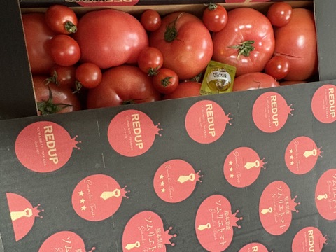 予約1月下旬から順次発送【特別栽培農産物の取得】＼訳あり／受賞歴３回！ソムリエトマト4〜5kg（１８玉～３６玉) ②のオマケ❗️ソムリエミニトマト　ダイヤ