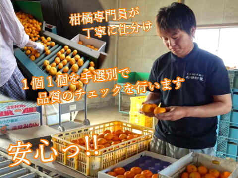 【夏ギフト】ボリューム満点の食べ応え！甘～いジューシー果汁滴る！冷蔵庫で冷やしてやみつき！ネットで話題！「蜜ツ星（みつぼし）」ゴロっと特大玉　秀優混合　たっぷり４．５ｋｇ【商品番号33】「熨斗対応可」