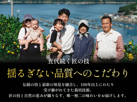 愛媛みかんの老舗厳選【濃厚な甘みと程よい酸味】みかん 10kg【愛媛県川上産】【冬ギフト】【福袋】