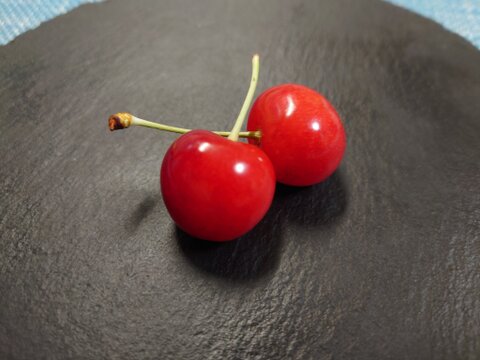 【贈答、プレゼント用】数量限定‼︎手詰め‼︎佐藤錦発祥の地。山形県東根産佐藤錦