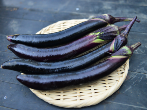 土曜出荷：出荷先制限】やわらか長ナス『新長崎長茄子』 (12本程度