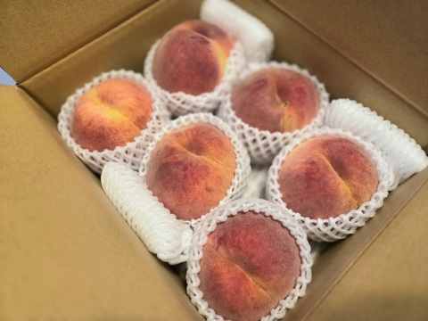 白根白桃（9月中旬お届け）【わけあり家庭用 2kg】ジュワッと果汁溢れる！白桃