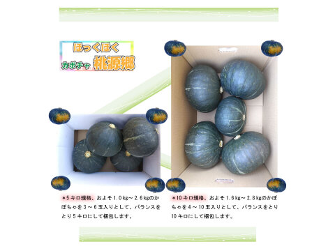 熊本県あしきた産　完熟ホクホク！桃源郷カボチャ【10キロ　５～10玉入り】