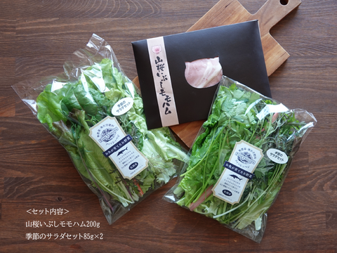 山桜いぶしももハム200gと季節のサラダセット80g×2袋