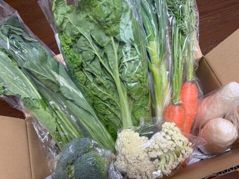Mサイズ ＊旬野菜セット(約8~9品)【農薬：栽培期間中不使用】