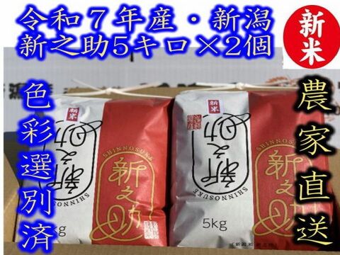 お正月限定お値打ち（ 通常の90％の価格）　大粒で　粒感がありしっかりとした食感　冷めても固くなりにくい新米　新潟県のお米のトップブランド　新之助（新潟県認証銘柄）　白米5kg × 2個★色彩選別済