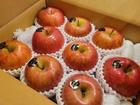 青森県産りんご「鮮度良し冷蔵品」「自社イチオシ」完熟大玉プレミアム葉とらずさんふじ自然味約３kg糖度１３%以上 ※今月で完全終了となります。