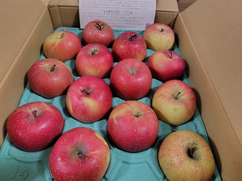 味濃い甘い！サンふじ★無肥料.農薬節約30%〜.除草剤.摘果剤.摘葉剤不使用★【10kg箱】
玉数指定不可/予約販売開始！/家庭用/りんご