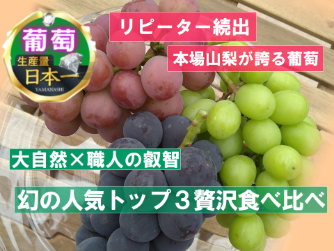 🍇天空ブランド人気トップ３食べ比べセット🍇今の時期しか食べられない幻の赤系葡萄・黒系葡萄・緑系葡萄食べ比べ3房約1kg