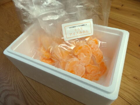 【アンケート無し】暑い夏に！新冷凍みかんアイスが新登場！こだわり栽培の完熟みかんを瞬間凍結！10分の自然解凍で食べ頃！くちどけ滑らかな「とろ生アイスみかん💛」　約100g×4袋（計400g）