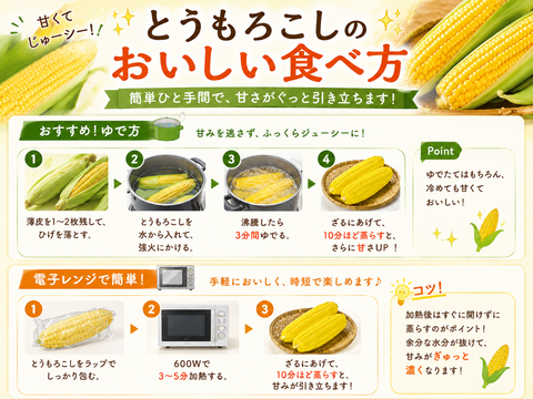 糖度20度前後！朝採れとうもろこし「おおもの」3kg：宮城県産のおお