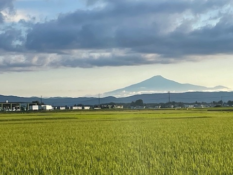 【令和７年新米】秋田県産あきたこまちＲ１０ｋｇ