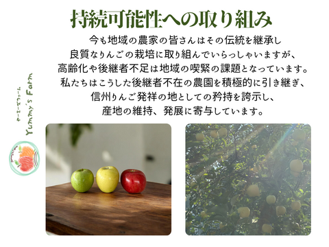 無添加 微アルコール シードル ボンプレサージュ 信州りんご発祥の地 長沼産 サンふじ 100% 生産農家直送 発酵 ノンアルコール 酵母サイダー 330ml ６本 化学肥料不使用 除草剤不使用