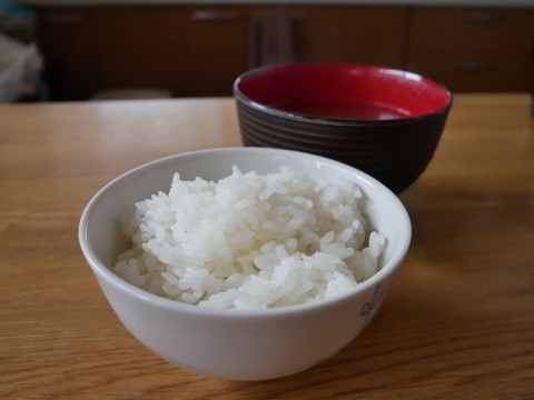 新米予約！特別栽培米ひとめぼれ5kg2個パック　冷めても美味しい！奥州市の里山で育ったひとめぼれ【リオレのレシピ付き】