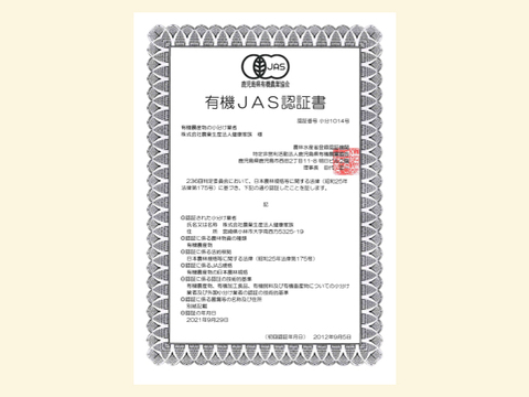 【熊本県産】 有機にんにく王（無選別１㎏入)