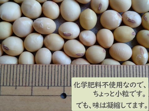 自然栽培大豆1500グラム　農薬不使用　肥料不使用　土と草の力で育ちました。少し小粒ですが、栄養と美味しさは凝縮していると思います。