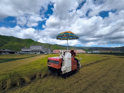 【令和7年産】晴れの国岡山産コシヒカリ玄米20kg