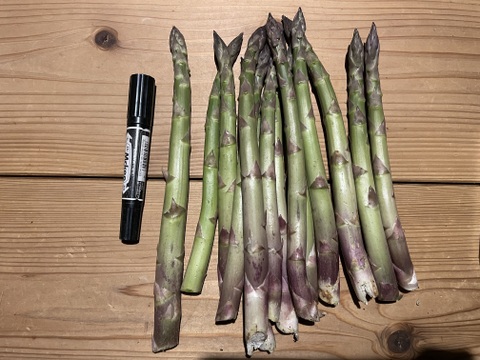 【北海道産】風のアスパラ 　栽培期間農薬不使用　サイズミックス500g