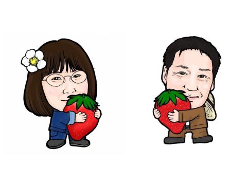 【ギフト】宮城県産よつぼし！ベリーホップすず！ピカピカ輝く甘酸っぱい完熟いちご！(250ｇ2パック入り)