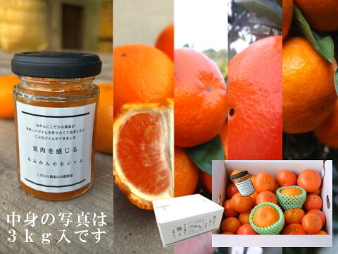 【2箱まとめ買い】【福袋】完熟みかんや希少柑橘の食べ比べにジャムも！12月下旬の年内発送！家族でワイワイ♪♪「旬のこだわり柑橘食べ比べ福袋」家庭用　約3kg入2箱セット【商品番号1101-2】