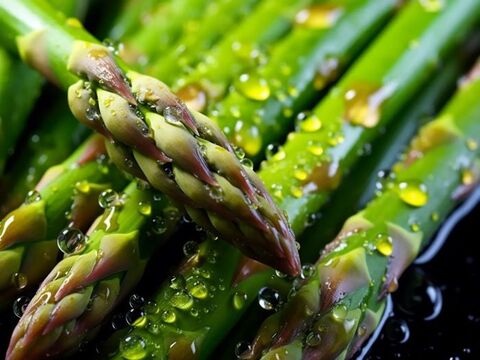 夏アスパラ 1000g L程度 秋田県産 横手市産 ピーラーレスアスパラ 朝穫れ新鮮