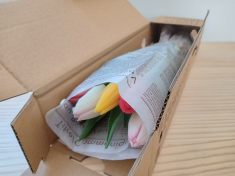 【今シーズン初🌷30件限定】★新商品★フラワーファームしろねのチューリップ 　6本ミックス　コンパクト便でお手頃価格でお届けします(^^♪　※北海道・沖縄県配送不可※