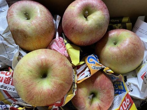 大玉！！葉取らずふじりんご🍎バラ詰め5キロ家庭用です。