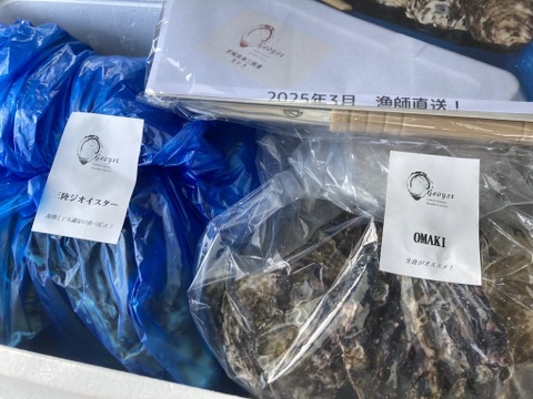 贅の極み食べ比べセット！ 【OMAKI】＆【三陸ジオイスター】計20個入り