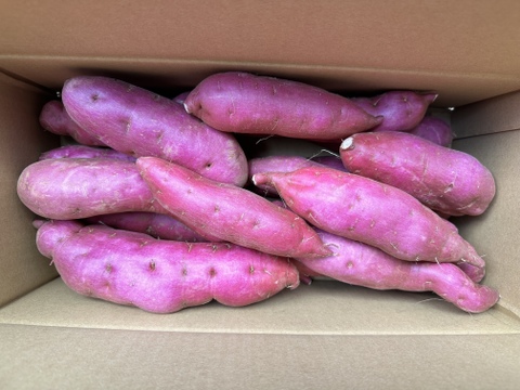 インスタ映えパープルスイートロード【ご家庭用】千葉県産さつまいも3㎏　美しい紫色でインスタ映え！熟成させると甘みが増します！蒸し芋・温野菜にもおすすめ