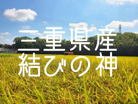 令和6年産 三重県ブランド米 結びの神 5kg 精米   みえの安心食材認定