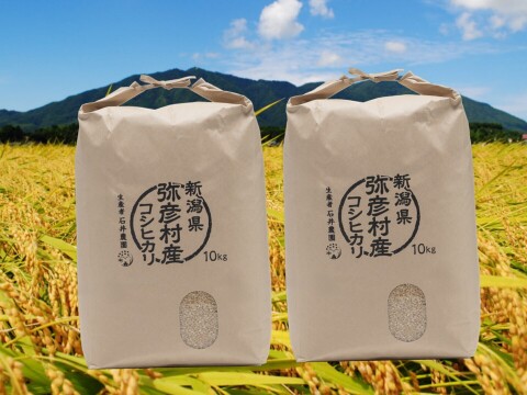 令和8年産新米》新潟県弥彦村産 コシヒカリ玄米 20kg：新潟県産のお米