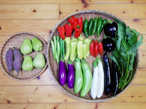 大三島産純粋ハチミツ小瓶付き野菜セット【レモンと5~7種類の野菜【農薬・化学肥料不使用】】【お歳暮対応可】(80サイズ箱)